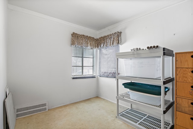 interior space with light carpet, visible vents, and ornamental molding