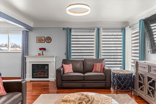 living room featuring a glass covered fireplace and wood finished floors