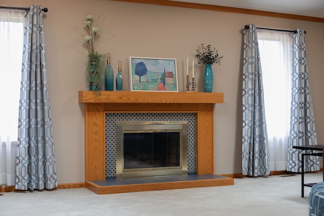 details featuring carpet floors, baseboards, and a fireplace