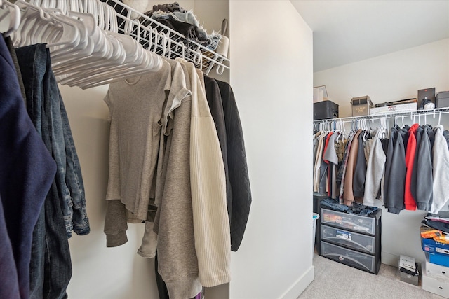 spacious closet featuring carpet floors