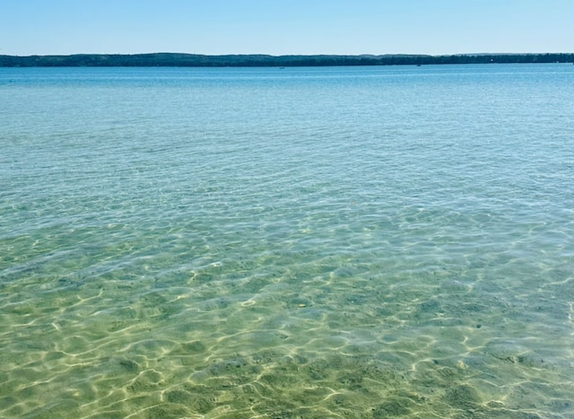 11375 SW Torch Lake Dr, Rapid City, MI 49676 - water view
