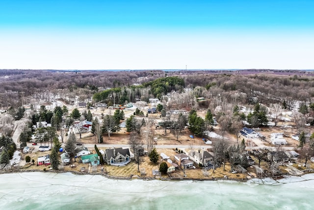 11375 SW Torch Lake Dr, Rapid City, MI 49676 - aerial view of a forest