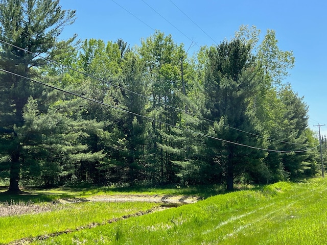 view of yard featuring a wooded view