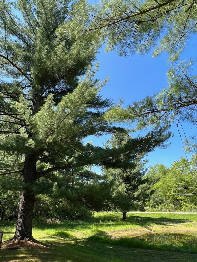 755 S M65 Rd, Twining, MI 48766 - view of yard