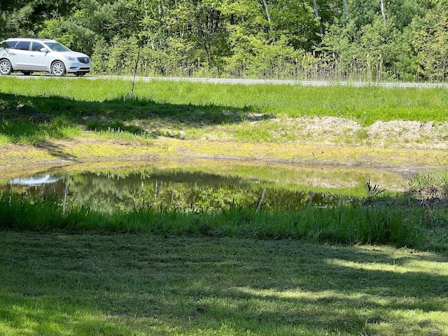 view of yard featuring a water view and a forest view