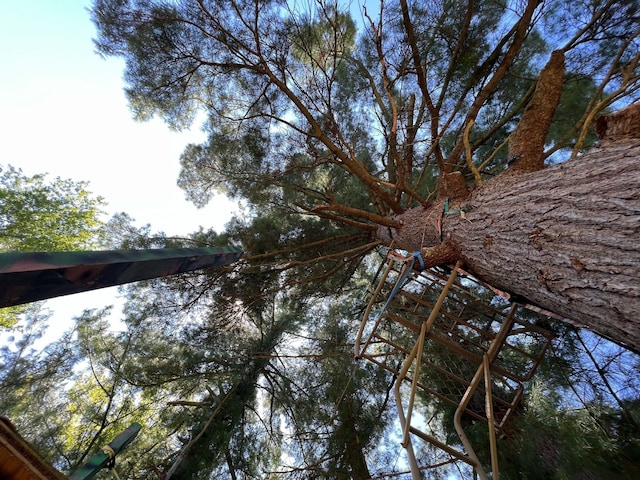 view of details