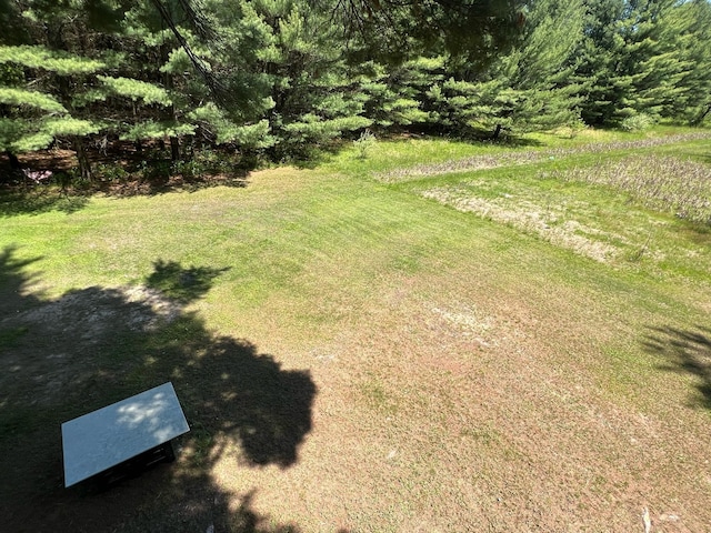 755 S M65 Rd, Twining, MI 48766 - view of grassy yard