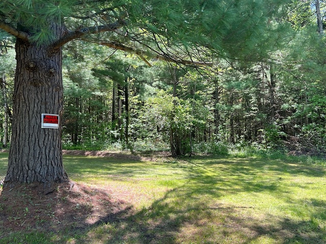 view of yard featuring a view of trees