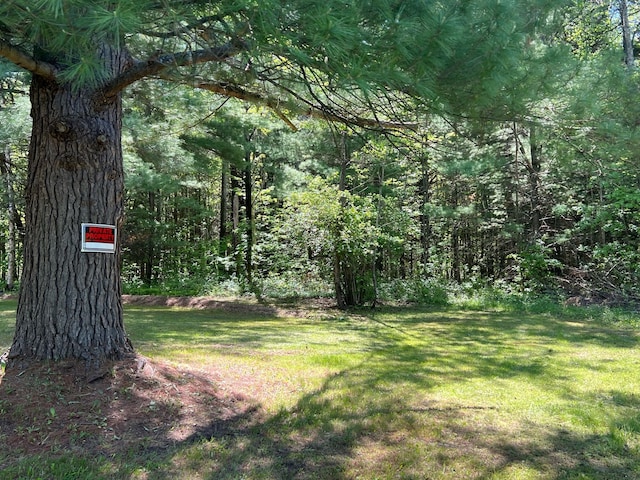 view of yard featuring a wooded view