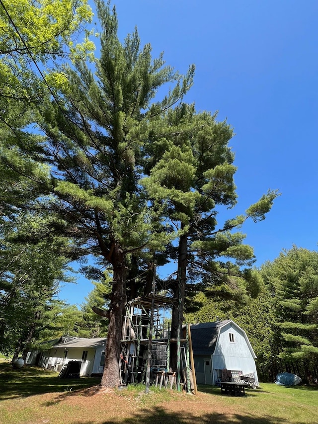 view of yard featuring an outdoor structure