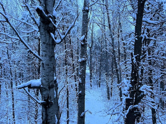 snowy view with a view of trees