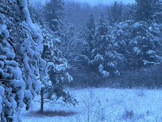 snowy view with a forest view