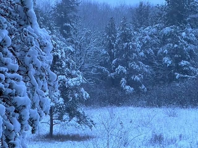snowy landscape featuring a view of trees