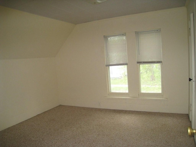 additional living space with vaulted ceiling and carpet flooring