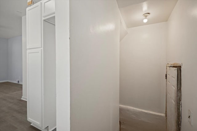 bathroom featuring wood finished floors