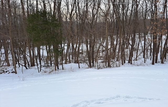 view of snowy yard