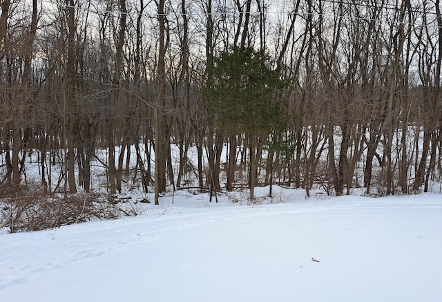 view of yard covered in snow