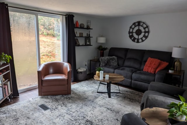 living area featuring wood finished floors and visible vents