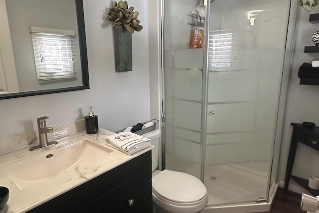 full bathroom featuring a stall shower, vanity, and toilet