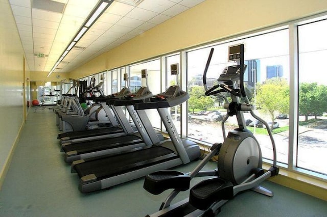 exercise room with a healthy amount of sunlight