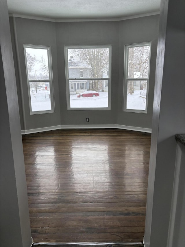 spare room with a textured ceiling, ornamental molding, dark wood-style flooring, and baseboards