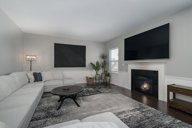 living area featuring a glass covered fireplace and wood finished floors