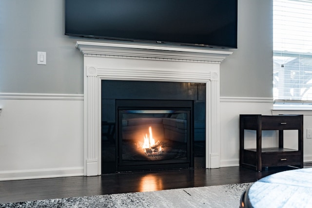 room details with wood finished floors, a glass covered fireplace, and baseboards