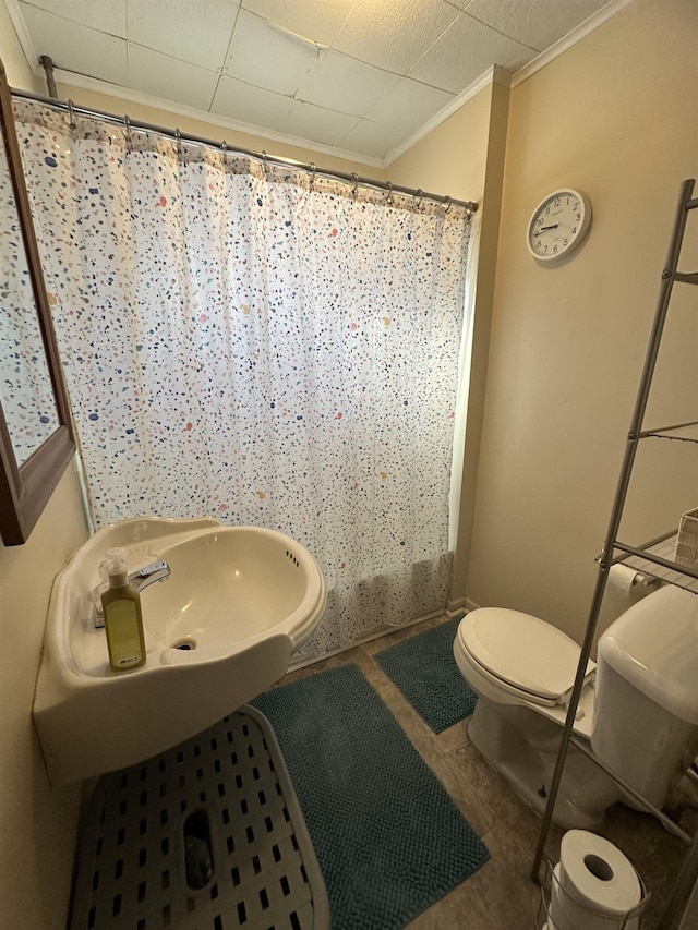 bathroom featuring a sink, a shower with curtain, toilet, and crown molding