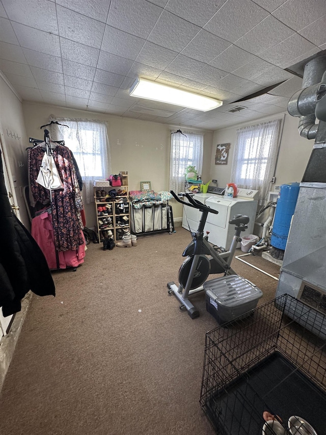 workout room with carpet flooring, plenty of natural light, and a paneled ceiling