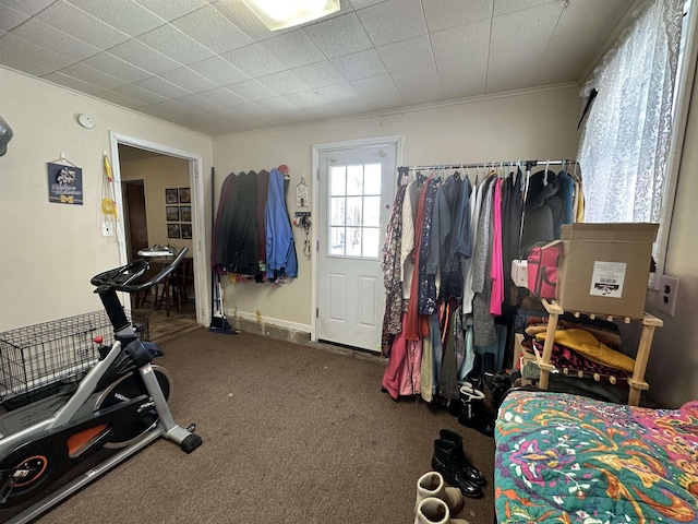 interior space featuring ornamental molding and carpet flooring