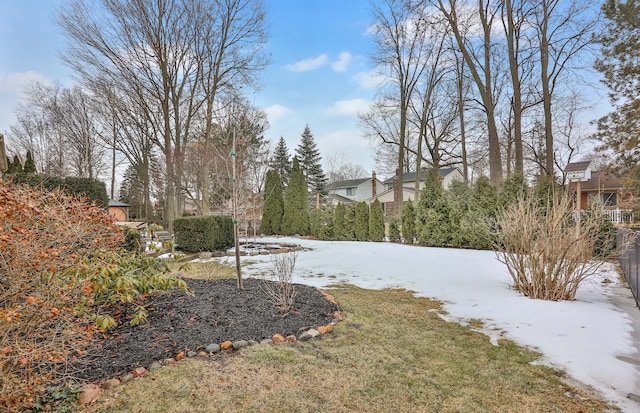 view of snowy yard