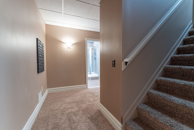 stairs with a drop ceiling, carpet, and baseboards