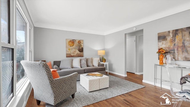 living room featuring baseboards and wood finished floors