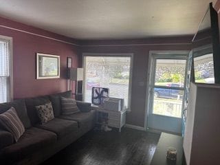 living room with wood finished floors