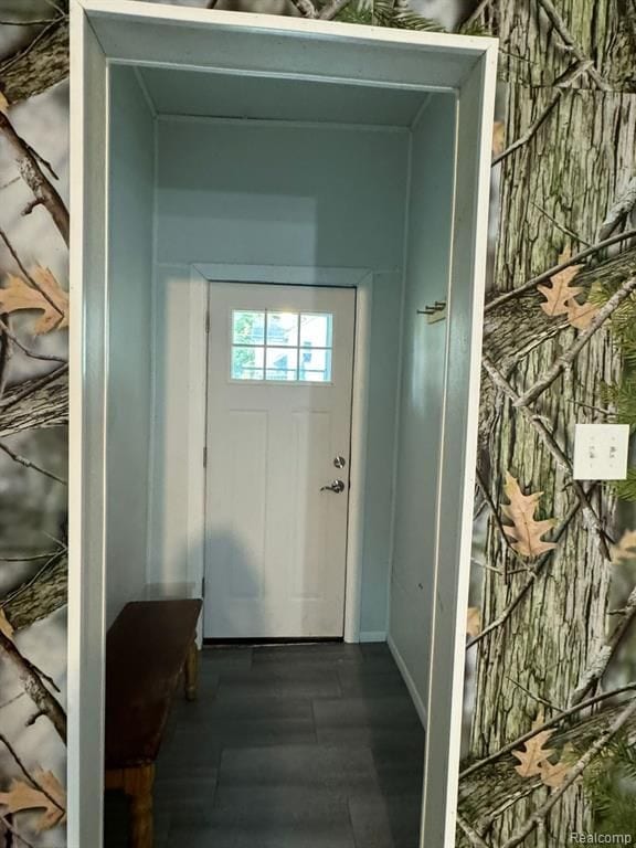 entryway with dark wood-style floors