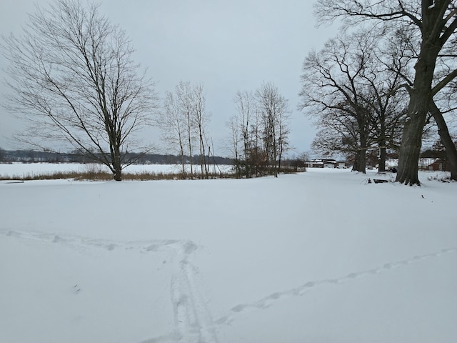 view of yard covered in snow