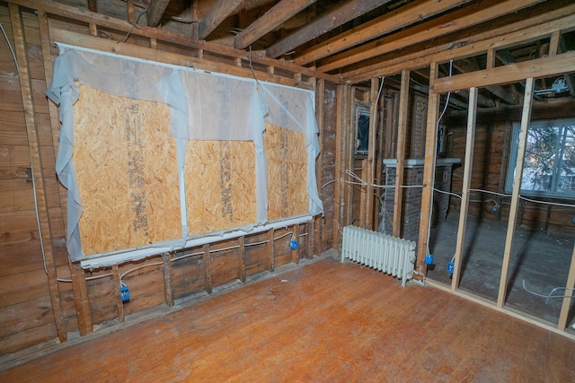 basement featuring radiator