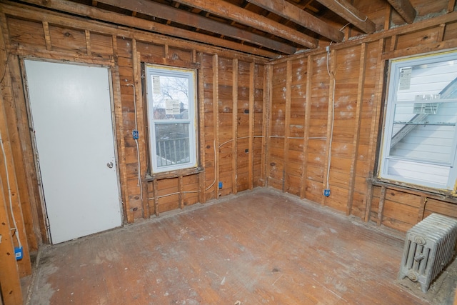 basement with radiator