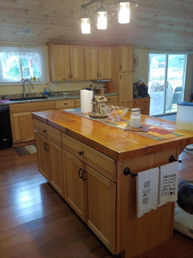 kitchen with dishwasher, wood finished floors, wooden counters, and a sink