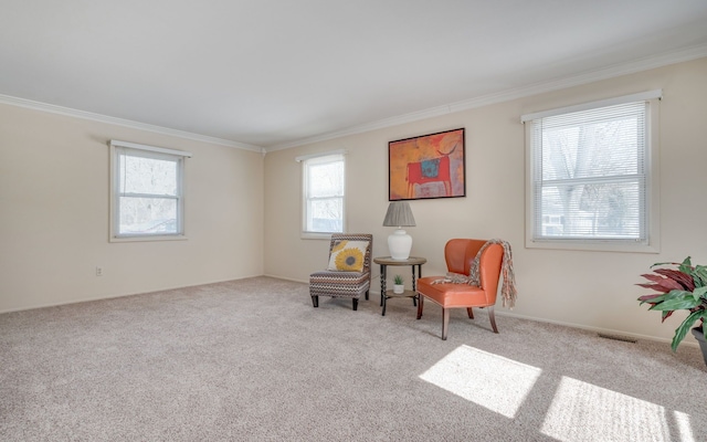 sitting room featuring carpet floors and crown molding