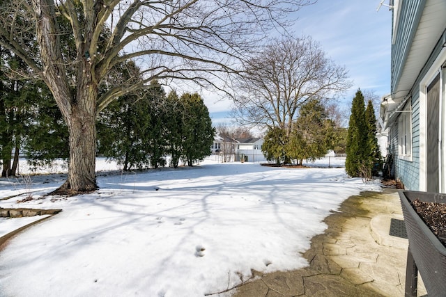 view of yard covered in snow