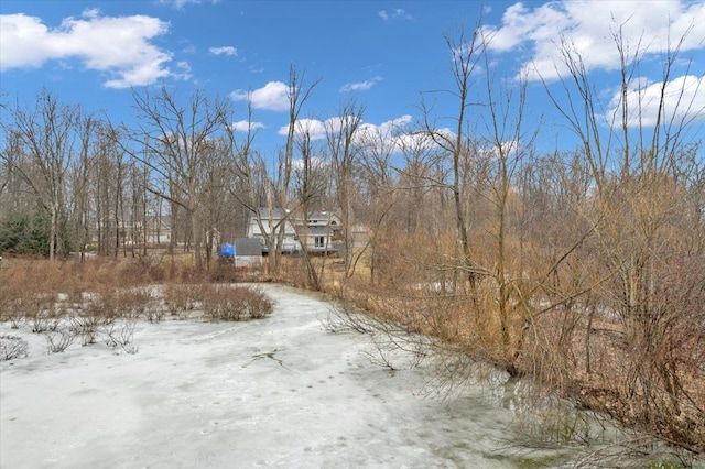 view of yard covered in snow