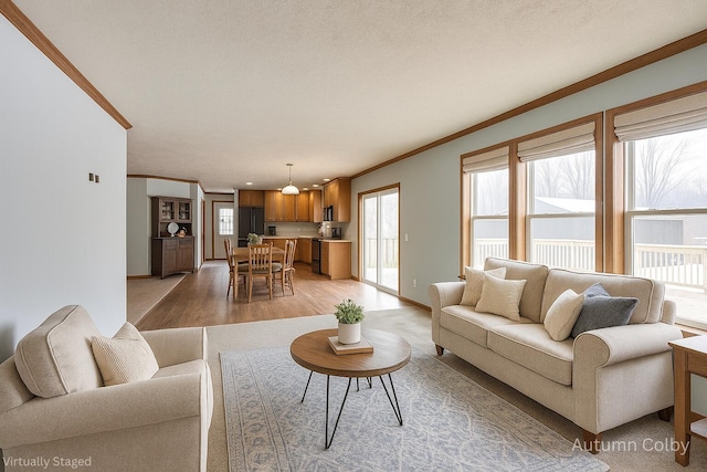 5443 Gravel Ridge Rd, Lakeview, MI 48850 - living area with crown molding and light wood-style flooring