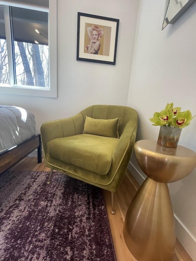 living area with wood finished floors