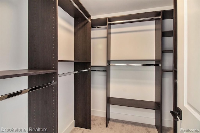 spacious closet featuring carpet