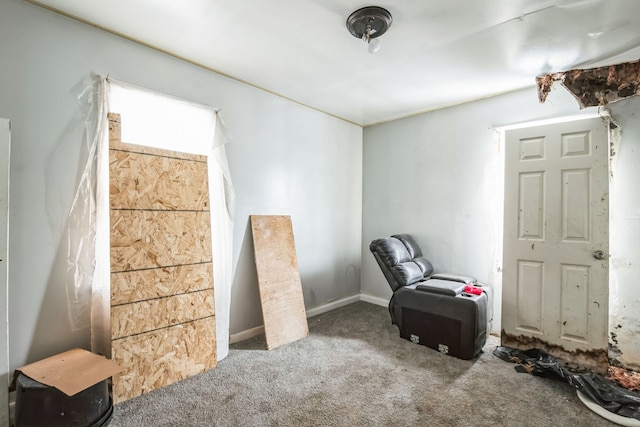 interior space with carpet floors