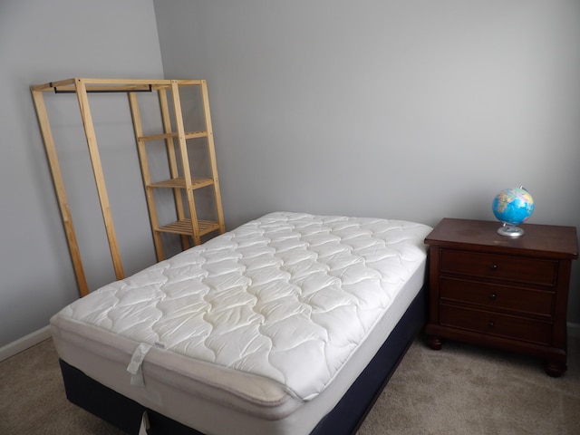 bedroom featuring carpet flooring