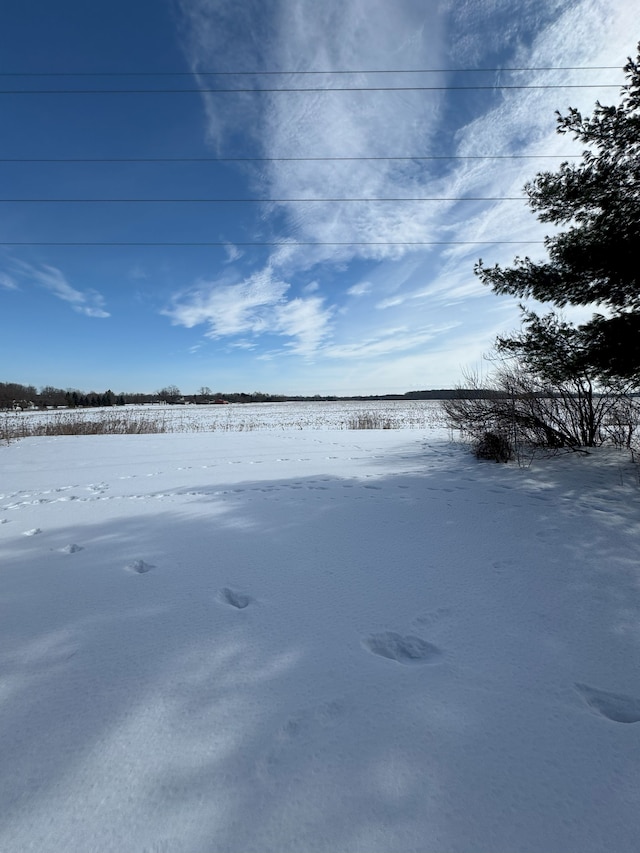 view of yard covered in snow