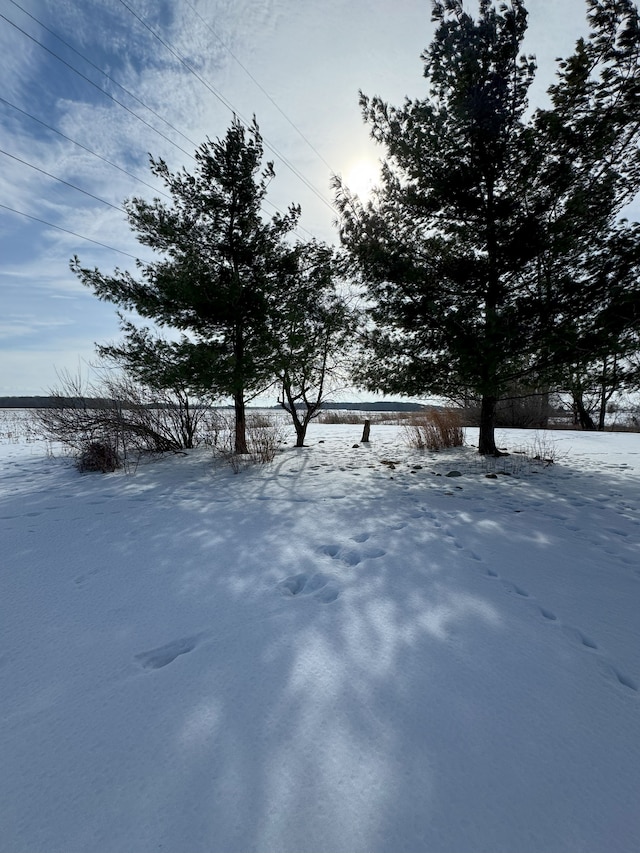 view of yard layered in snow