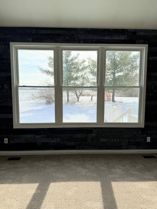 interior details with carpet flooring, visible vents, and baseboards